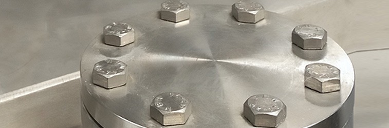 ANSI B16.47 900lb Blind Flanges