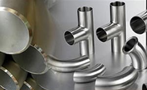 Forged Fittings Reducer Inserts